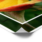 イエローローズブドライフ引用文 感動的 ポスター (角)