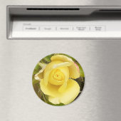 イエローローズブド磁石 マグネット (インサイチュ (食洗機))