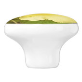 イエローローズブド セラミックノブ (側面)