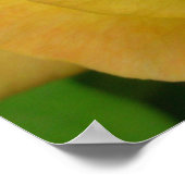 イエローローズプリント美しい花のポスタープリント ポスター (角)