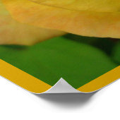 イエローローズポスタープリント美しい花プリント ポスター (角)