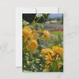 イエローローズレッド&パープルガーデン ノートカード