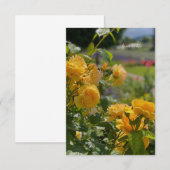 イエローローズレッド&パープルガーデン ノートカード (正面/裏面)