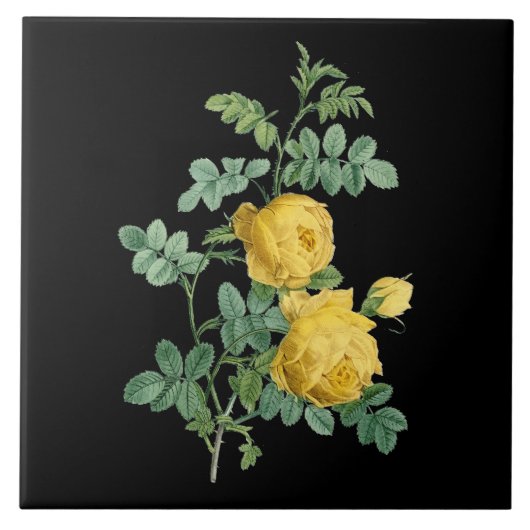 イエローローズヴィンテージイラストレーション タイル (正面)