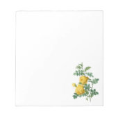 イエローローズヴィンテージ植物イラストレーション ノートパッド (正面)