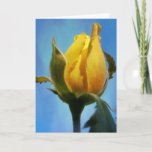 イエローローズ聖なる書物、 経典カードの哀歌3:22-23 カード (正面)