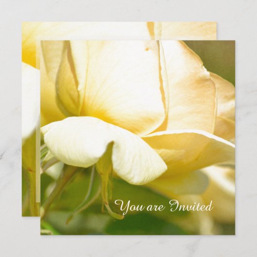 イエローローズ誕生日 招待状 (正面/裏面)