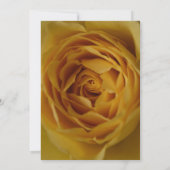 イエローローズ18th誕生日パーティーの招待状 招待状 (裏面)