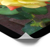 イエローローズ・オブ・テキサス州 ポスター (角)