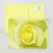 イエローローズ_ ポストカード (正面/裏面)