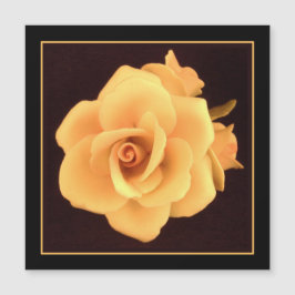 イエローローズ、2004年写真。