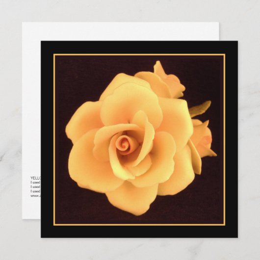 イエローローズ、2004年写真。 (正面/裏面)