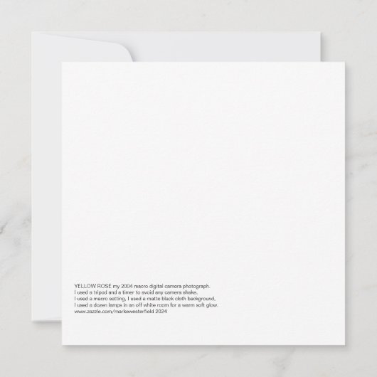 イエローローズ、2004年写真。 (裏面)