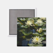 イエローロータス《植物》スイレンマグネット マグネット (正面/裏面)