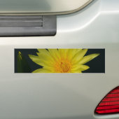 イエローロータス《植物》スイレン バンパーステッカー (車上)