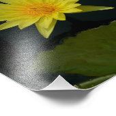 イエローロータス《植物》スイレン フォトプリント            (角)