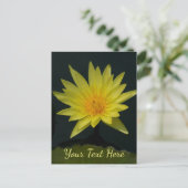 イエローロータス《植物》スイレン ポストカード (スタンド正面)