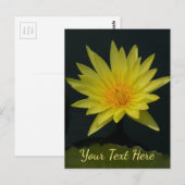 イエローロータス《植物》スイレン ポストカード (正面/裏面)