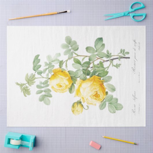 イエローローローズフローラエフェメラデクページ 薄葉紙 (クラフト)