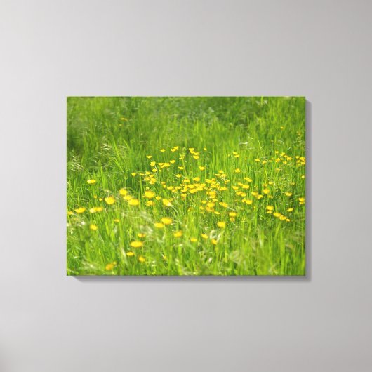 イエローワイルドフラワーフローラ植物写真 キャンバスプリント (正面)
