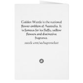 イエローワトル先住民オーストラリア花芸術 (裏面)