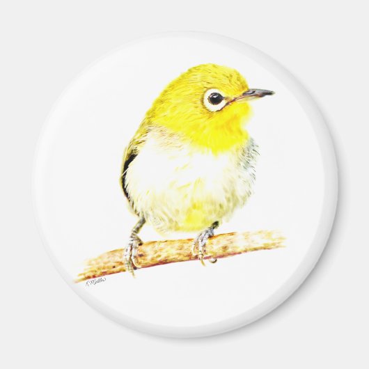 イエローヴィエロ マグネット (正面)