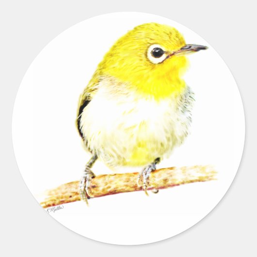 イエローヴィエロ ラウンドシール (正面)