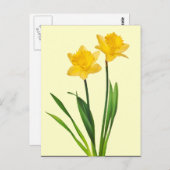 イエロー春ダッフォジルスダッフォディルテンプレート ポストカード (正面/裏面)