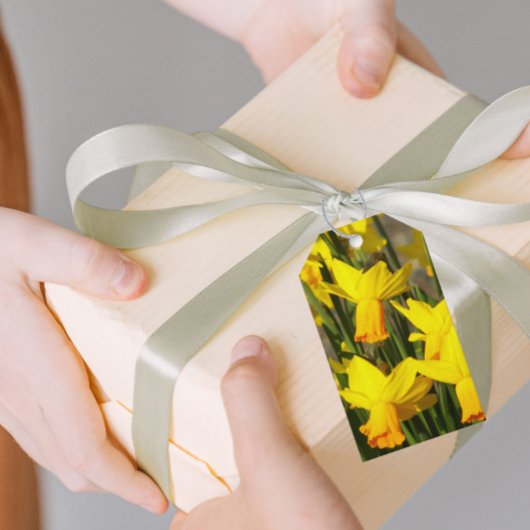 イエロー春ダフォジルフローラ ギフトタグ