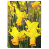 イエロー春ダフォジルフローラ クリップボード (裏面)