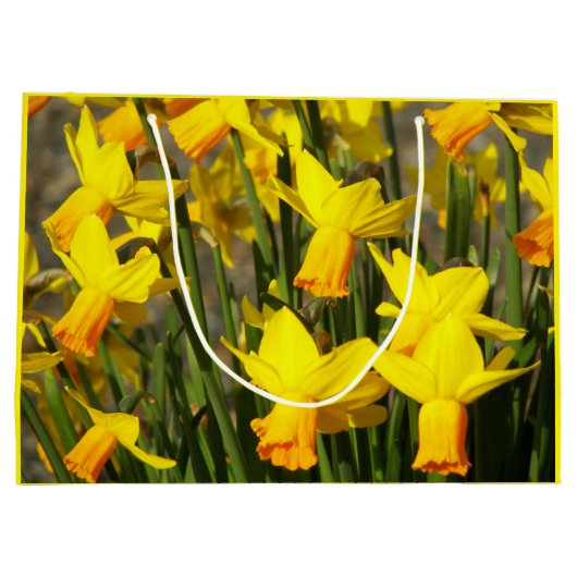 イエロー春ダフォジルフローラ ラージペーパーバッグ (裏面)