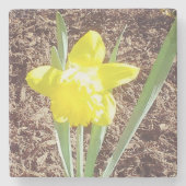 イエロー春ダフォディル ストーンコースター (正面)