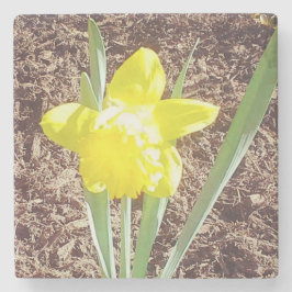 イエロー春ダフォディル ストーンコースター