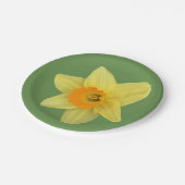 イエロー春ダフォディル ペーパープレート (アングル)