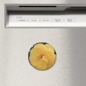 イエロー椿マグネット マグネット (インサイチュ (食洗機))