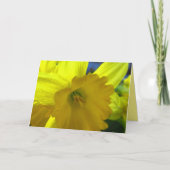 イエロー水仙春の花  カード (正面)