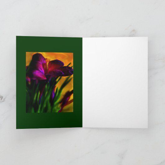 イエロー カード (内部)