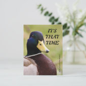 イエロー&ブルーダック狩りパーティの招待状 招待状 (スタンド正面)