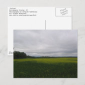 イエロー ポストカード (正面/裏面)