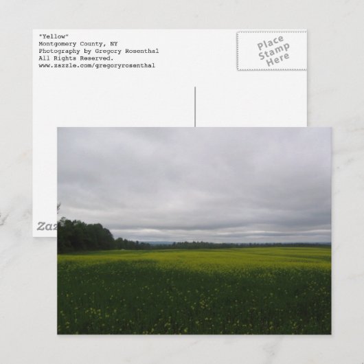 イエロー ポストカード (正面/裏面)
