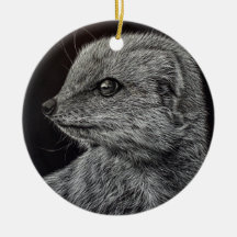 イエロー·マングース