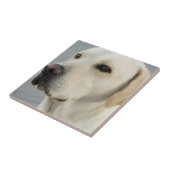 イエロー・ラブラドール・レトリーバーのタイル タイル (側面)