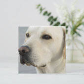 イエロー・ラブラドール・レトリーバーの招待状 招待状 (スタンド正面)