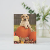 イエロー・ラブラドール・レトリーバーの秋 ポストカード (スタンド正面)