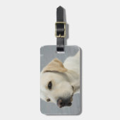 イエロー・ラブラドール・レトリーバーの荷物のラベル ラゲッジタグ (正面縦)