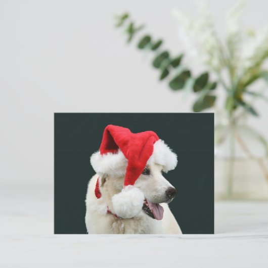 イエロー・ラブラドール・レトリーバーサンタクロース シーズンポストカード (スタンド正面)