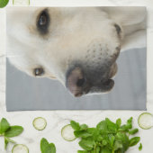 イエロー・ラブラドール・レトリーバータオル キッチンタオル (折り畳み)