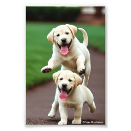 イエロー・ラブラドール・レトリーバーパピーサテン写真拡大 フォトプリント           