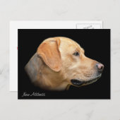 イエロー・ラブラドール・レトリーバーポートレートの新しいアドレス 案内ポストカード (正面/裏面)