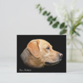 イエロー・ラブラドール・レトリーバーポートレートの新しいアドレス 案内ポストカード (スタンド正面)